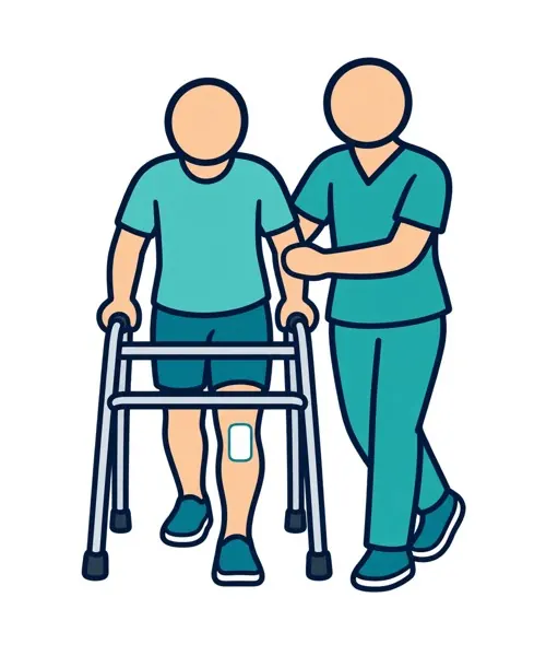 Physiotherapist helping a patient walk with a walker after knee replacement